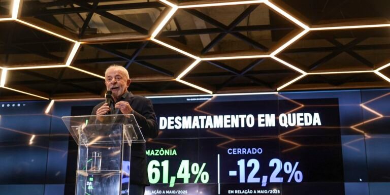 Desmatamento na Amazônia tem queda de 60% e Lula diz que EUA mentem