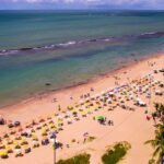 Jovem de 19 anos é atacada por tubarão na Praia de Boa Viagem
