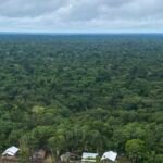 Antônia Soares traz a força da floresta ao Viva Maria