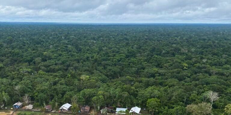 Antônia Soares traz a força da floresta ao Viva Maria