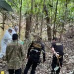 Site abriga informações atualizadas sobre assassinatos de Dom e Bruno