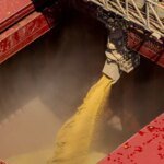 Safra de grãos 2025/2026 deve apresentar alta de 2,2%, aponta Conab