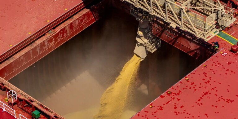 Safra de grãos 2025/2026 deve apresentar alta de 2,2%, aponta Conab
