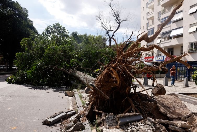Tânia Rêgo/Agência Brasil Rio de Janeiro (RJ), 30/07/2026 - Estragos provocados pelos fortes ventos que atingiram a cidade na tarde desta quarta-feira (29). Foto: Tânia Rêgo/Agência Brasil