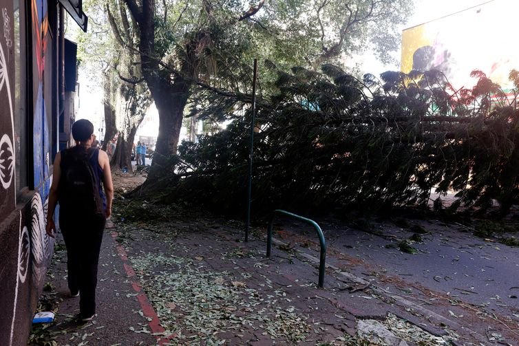 Tânia Rêgo/Agência Brasil Rio de Janeiro (RJ), 30/07/2026 - Estragos provocados pelos fortes ventos que atingiram a cidade na tarde desta quarta-feira (29). Árvore caída bloqueia passagem em Botafogo. Foto: Tânia Rêgo/Agência Brasil