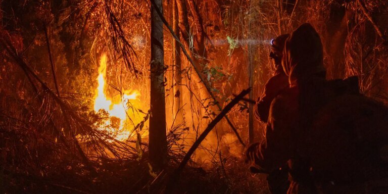 Brasil tem queda de 14% na quantidade de focos de queimadas em junho