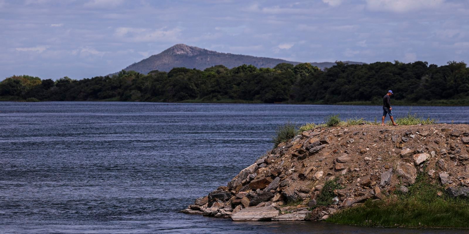 Especialistas orientam como evitar acidentes com arraias