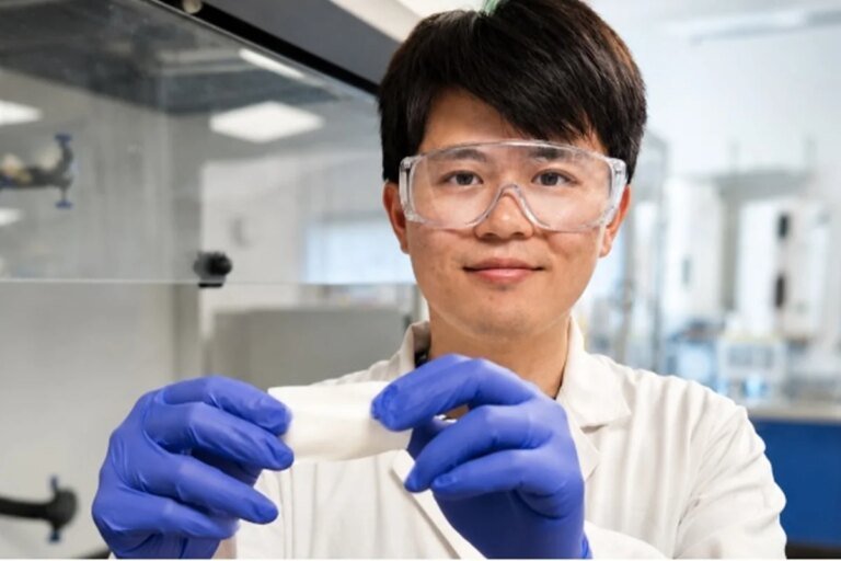 Curativo à base de plantas previne infecções antes que se instalem