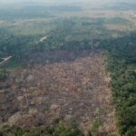 Amazônia registra queda de 35% nos alertas de desmatamento em junho