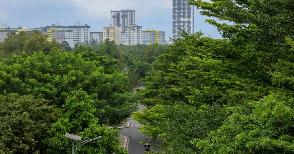 Como a natureza nos ajuda a voltar para nós mesmos