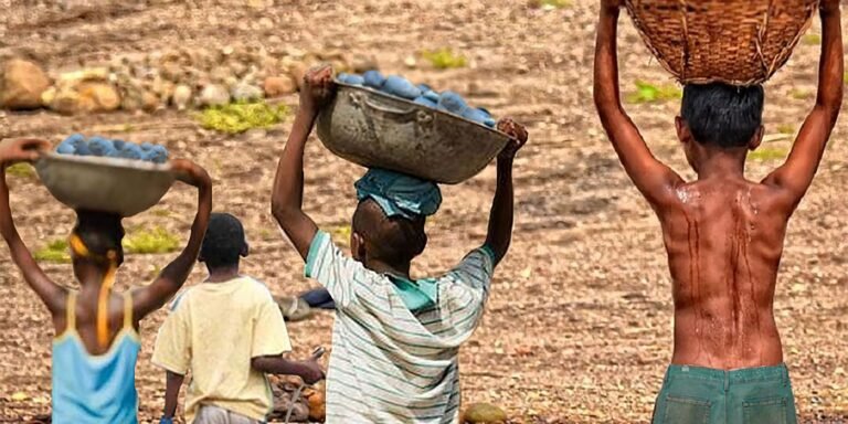 Apenas 3 estados têm planos vigentes contra trabalho infantil no país