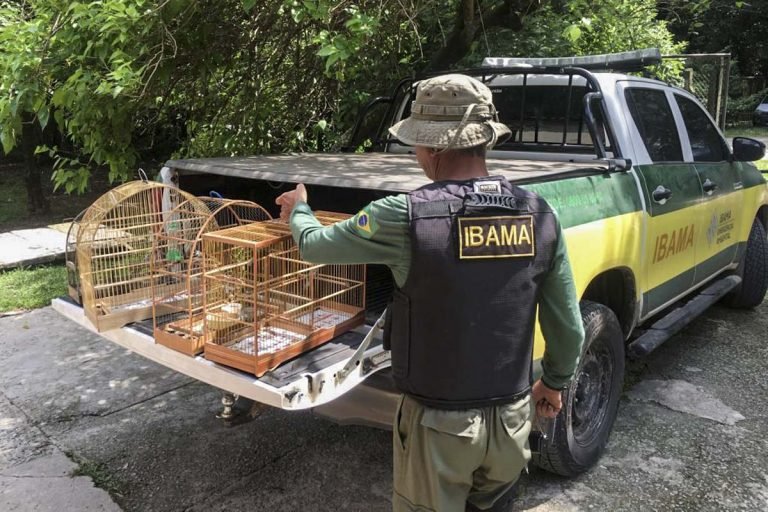 Projeto cria mecanismos para combater tráfico internacional de animais e maus-tratos