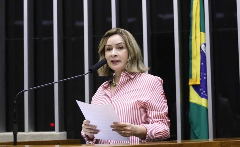 Comissão aprova projeto que cria sistema de incentivo à produção sustentável na Amazônia