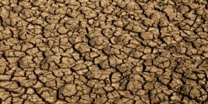 El Niño: entenda o fenômeno que intensifica os fenômenos climáticos