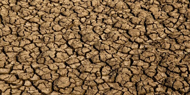 El Niño: entenda o fenômeno que intensifica os fenômenos climáticos