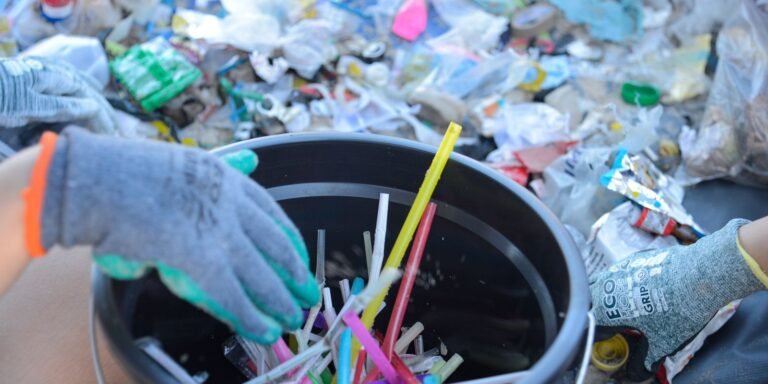 PE: gincana ambiental promove limpeza do Rio Capibaribe