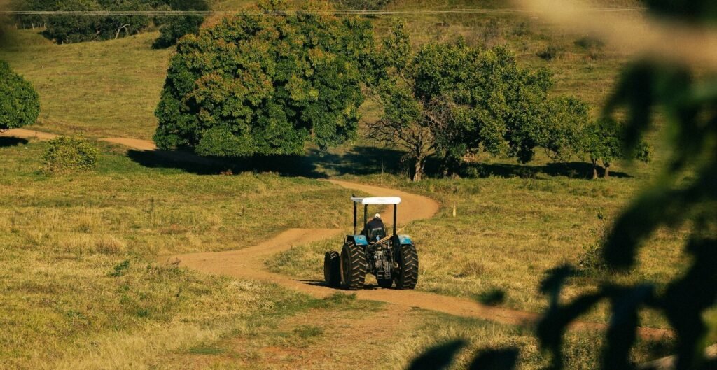 Holding rural pós-reforma tributária: vale a pena no agro?