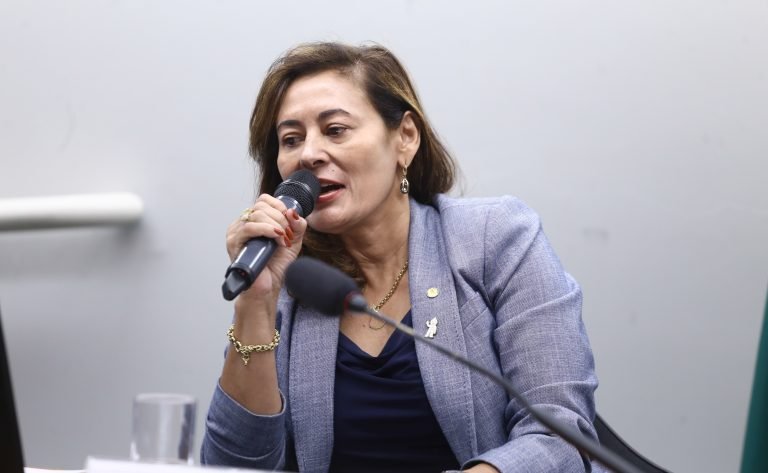 Audiência Pública - A Participação dos Povos Indígenas nas decisões envolvendo a COP30. Dep. Dilvanda Faro (PT-PA).