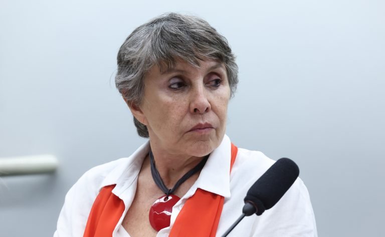 Audiência Pública - Comunicação comunitária como instrumento de promoção dos direitos humanos. Dep. Erika Kokay (PT - DF)
