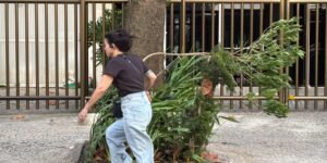 Ciclone extratropical: RJ suspende aulas e tornado é registrado no RS