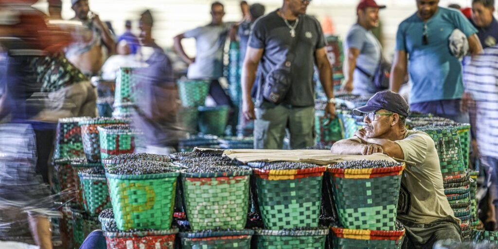 Dia do Feirante celebra ofício que movimenta economia popular