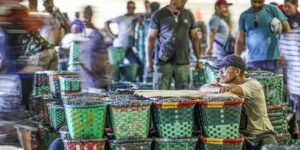 Dia do Feirante celebra ofício que movimenta economia popular