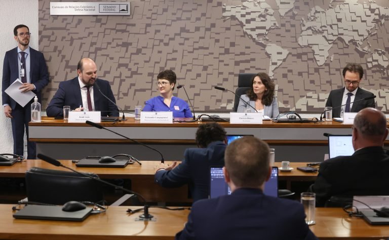 Especialistas defendem cuidado na regulação de redes para não comprometer liberdade de expressão