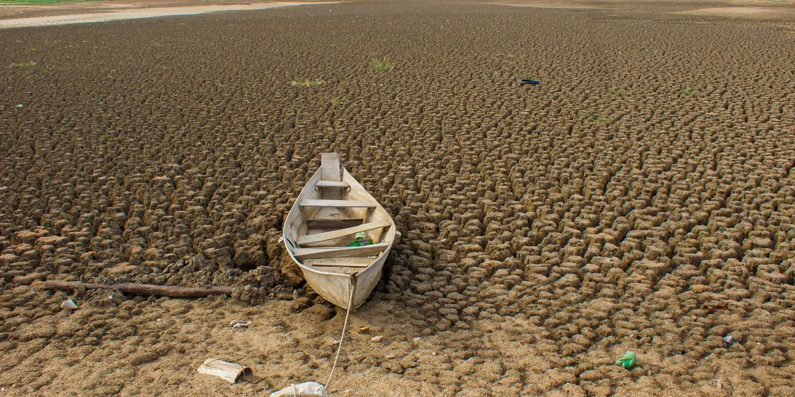 Dia da Amazônia é celebrado com El Niño e alerta de seca intensa