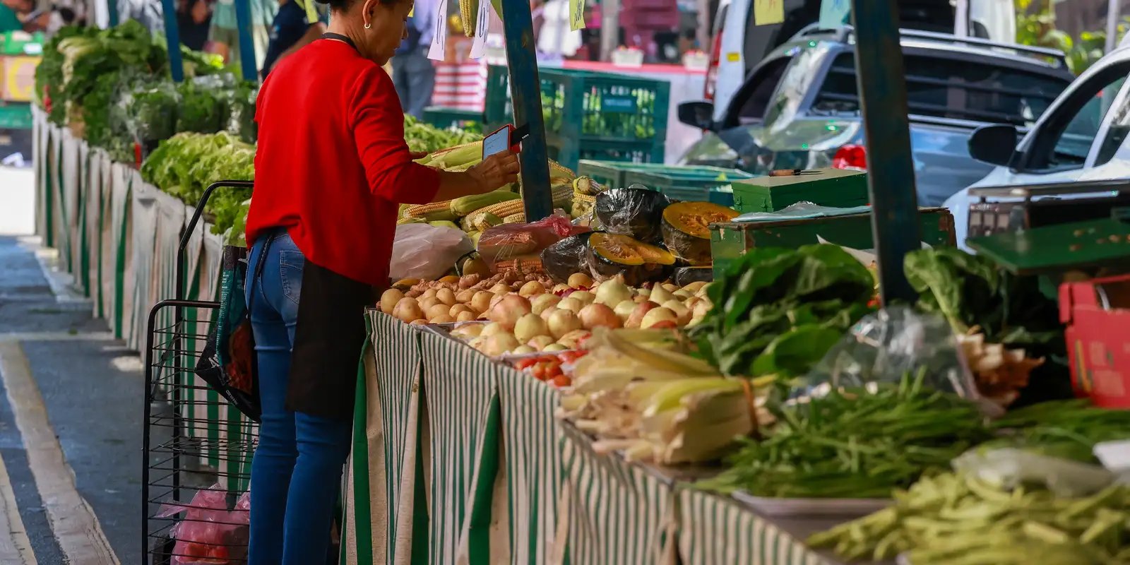 Guia Alimentar completa 20 anos de incentivo à comida de verdade