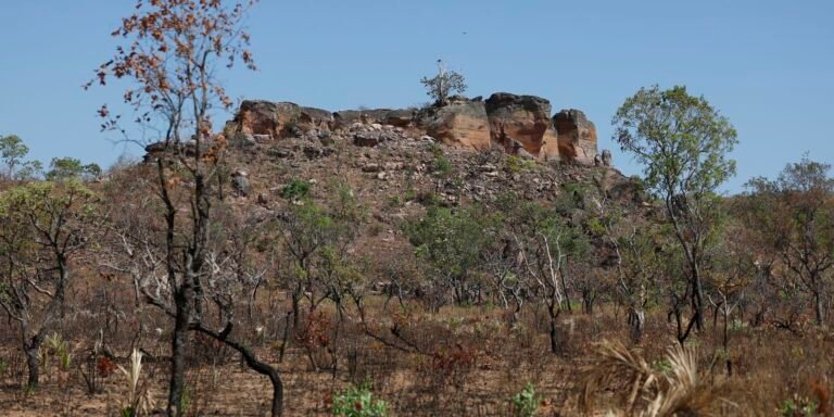 Terras indígenas representam preservação e cultura para o Cerrado