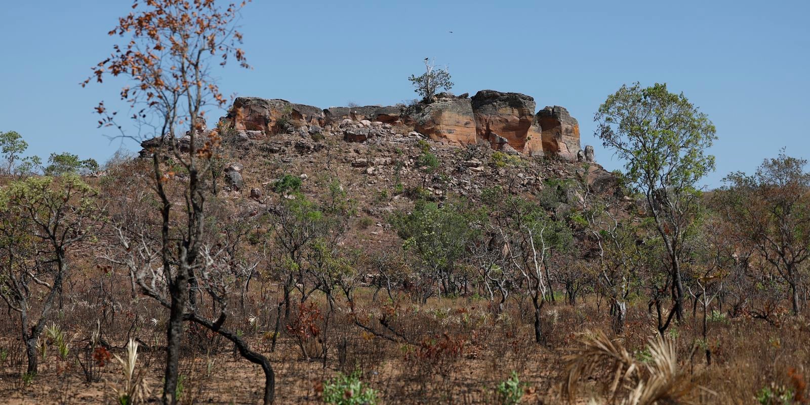 Terras indígenas representam preservação e cultura para o Cerrado