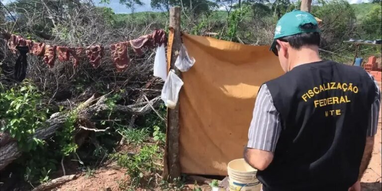 Operação liberta quase 500 pessoas em trabalho análogo à escravidão