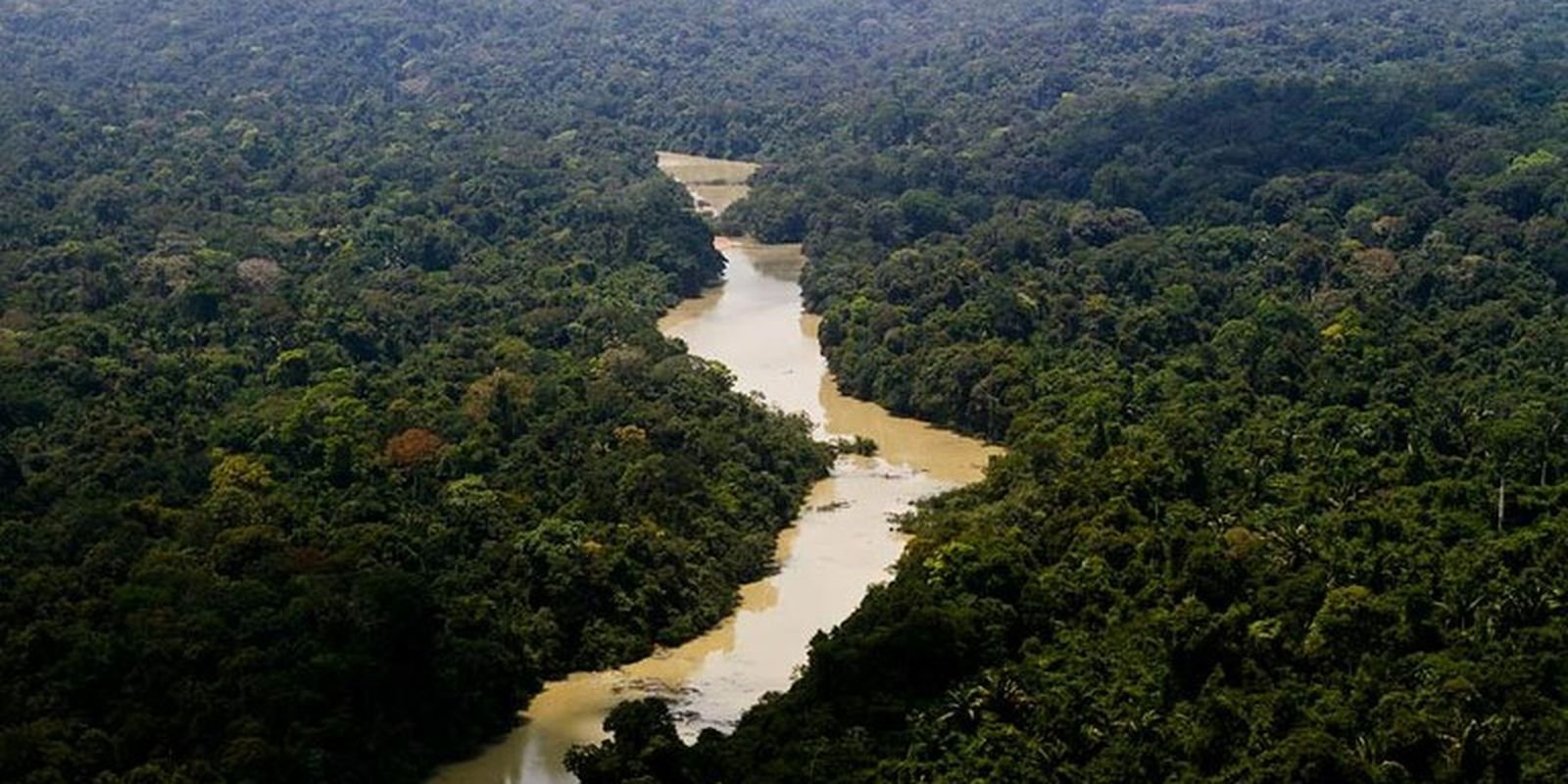 Viva Maria: uma mulher na linha de frente pela Amazônia