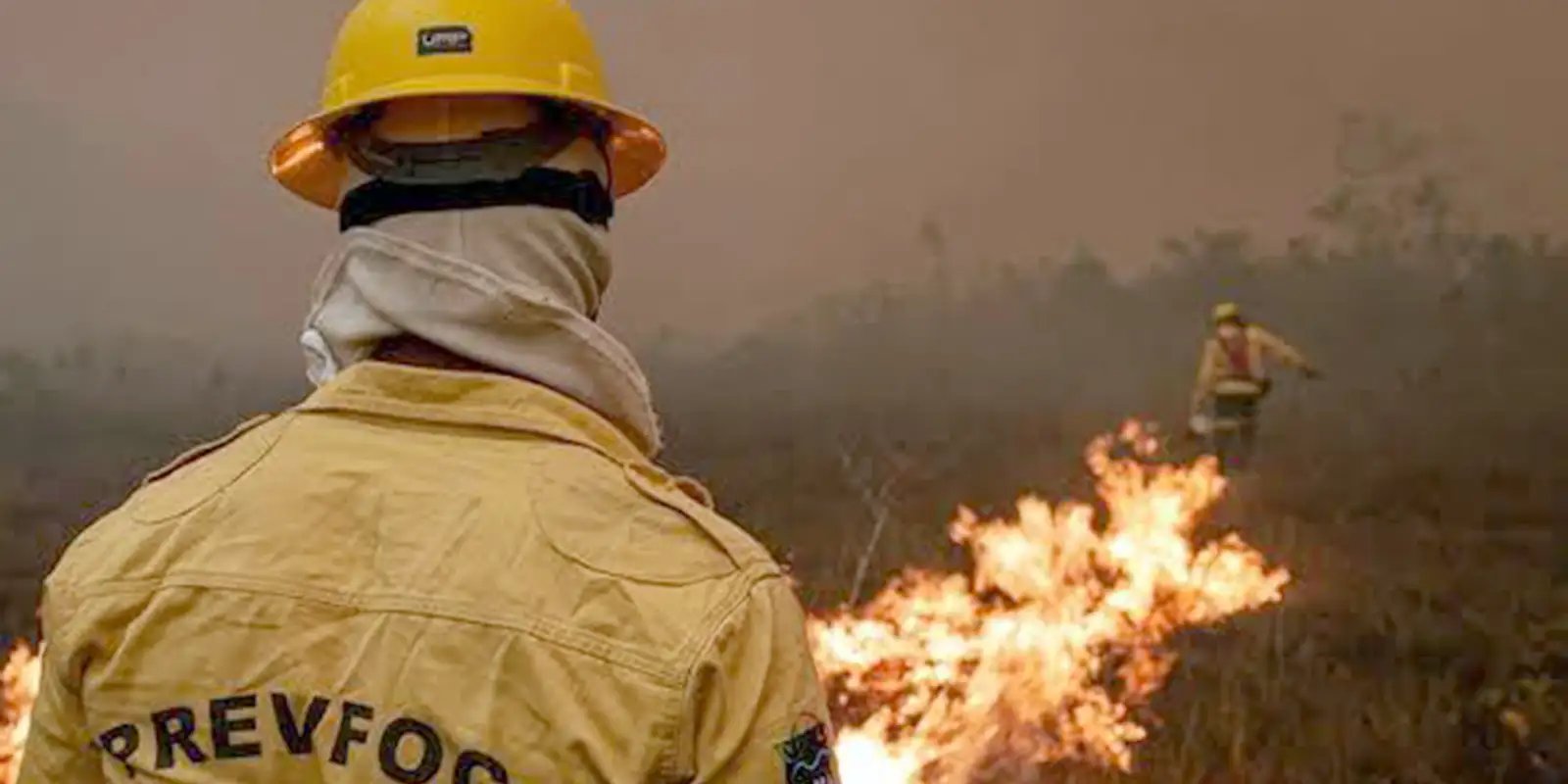 Plano de ação contra incêndios no Amazonas terá R$ 14 milhões