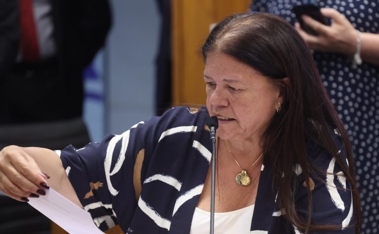 Reunião de Líderes. Dep. Laura Carneiro (PSD - RJ)