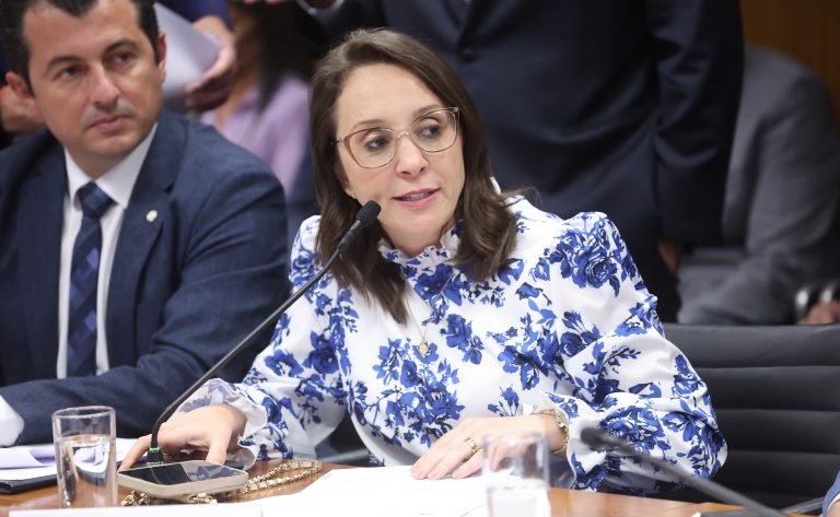 Reunião de Líderes. Dep. Renata Abreu (PODE-SP)