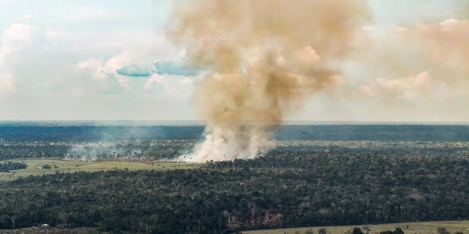 Amazonas decreta emergência em 36 municípios por causa de queimadas