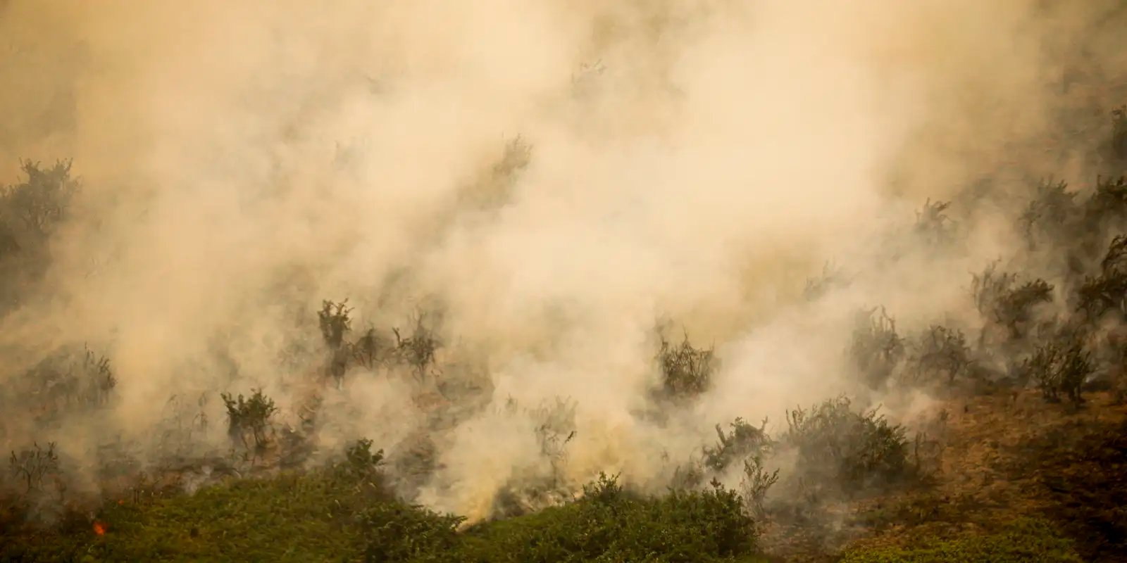 MG: principal foco de incêndio em Terra Indígena Maxakali é controlado