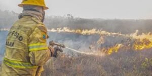 Forças federais e estaduais trabalham contra queimadas no Amazonas